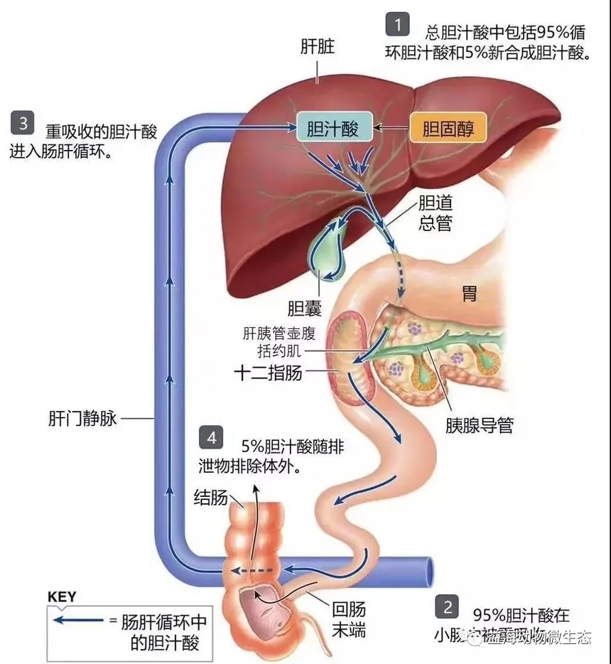 640.webp (4).jpg